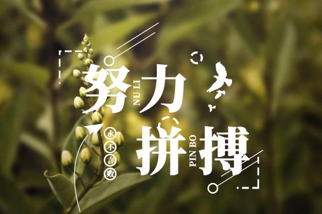  給我一份信任，還你10分滿意(圖3)